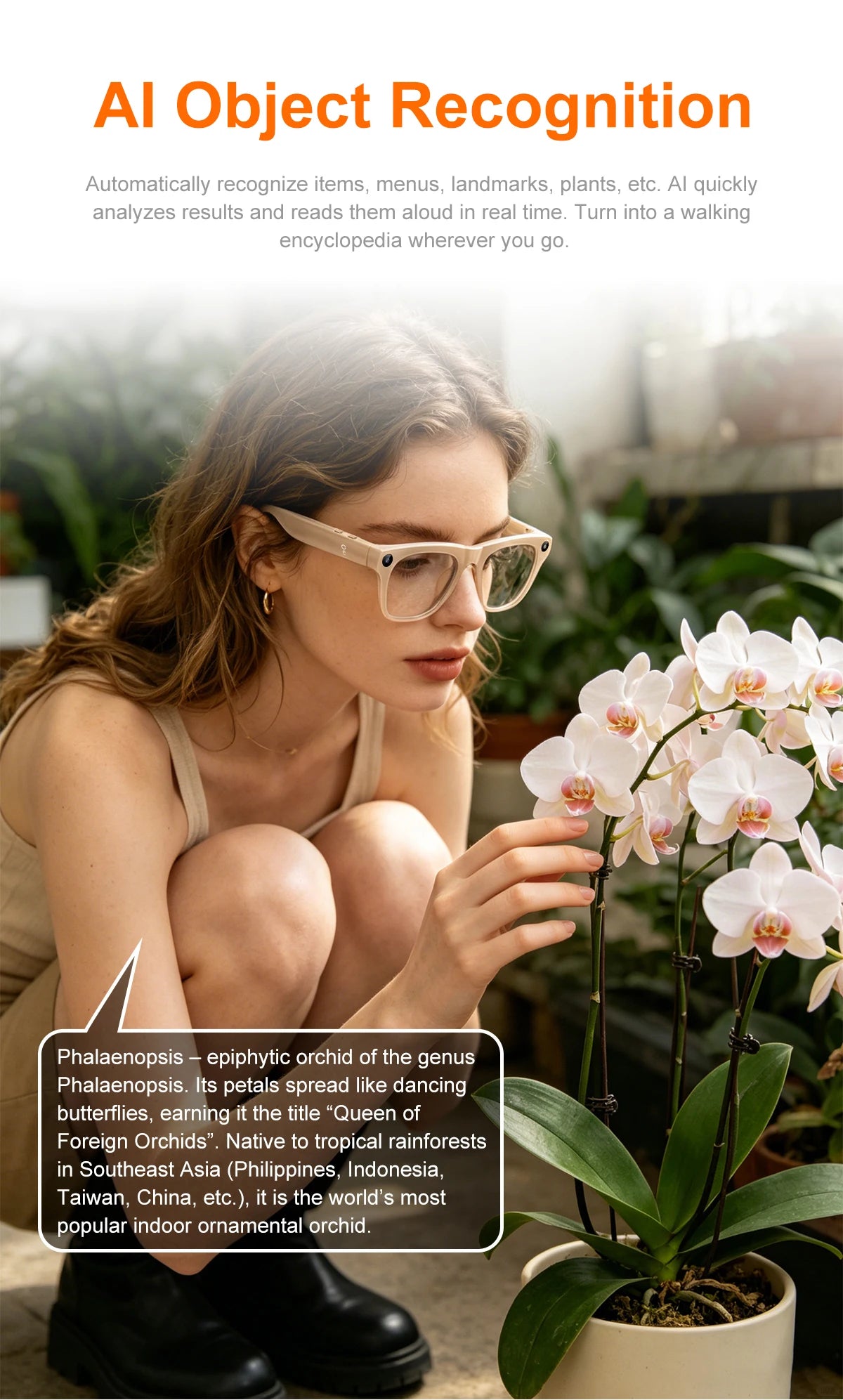 Zetta  Smart Glasses